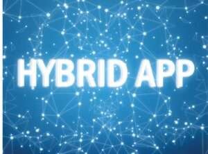 Best Hybrid App Development Company In India