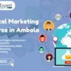 Best Digital Marketing Course in Ambala: Live Project Training