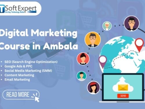 Best Digital Marketing Course in Ambala: Live Project Training