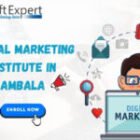 Digital Marketing Institute in Ambala, Haryana | iTsoftexpert